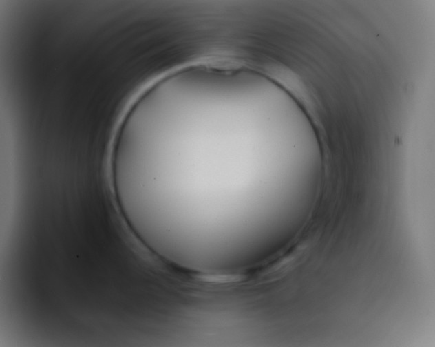 X0000092081344200710031130