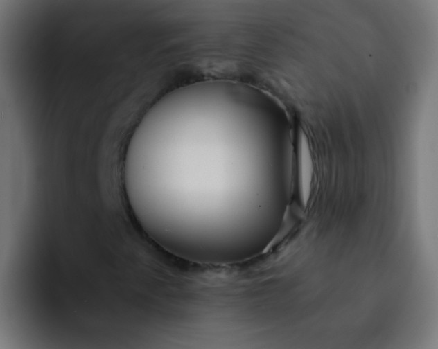 X0000092081345200710031129