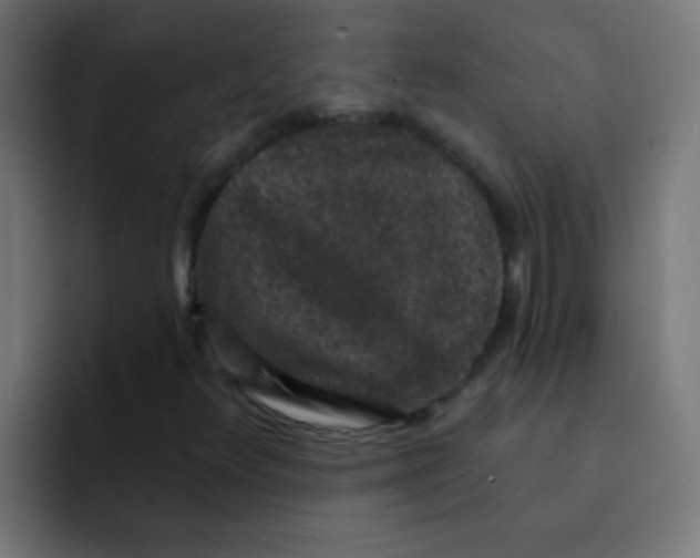 X0000092081348200710031129