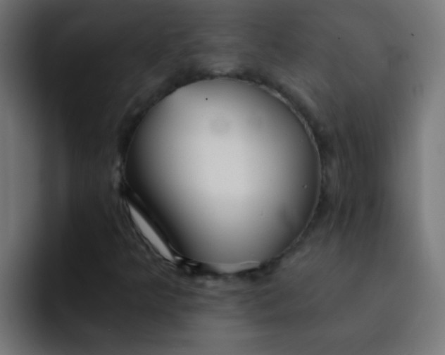 X0000092081349200710031129