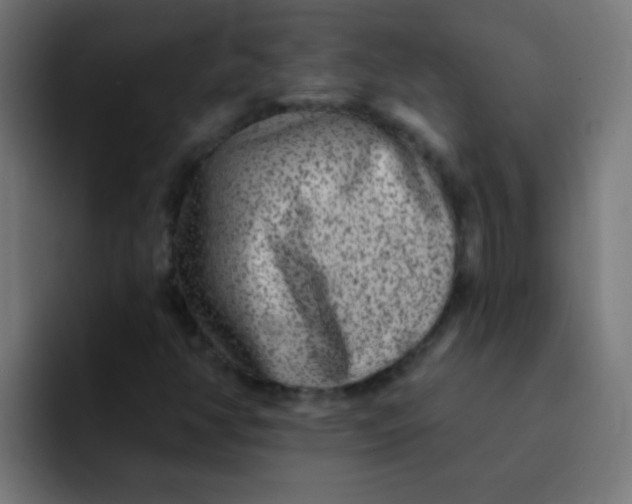 X0000092081350200710031129