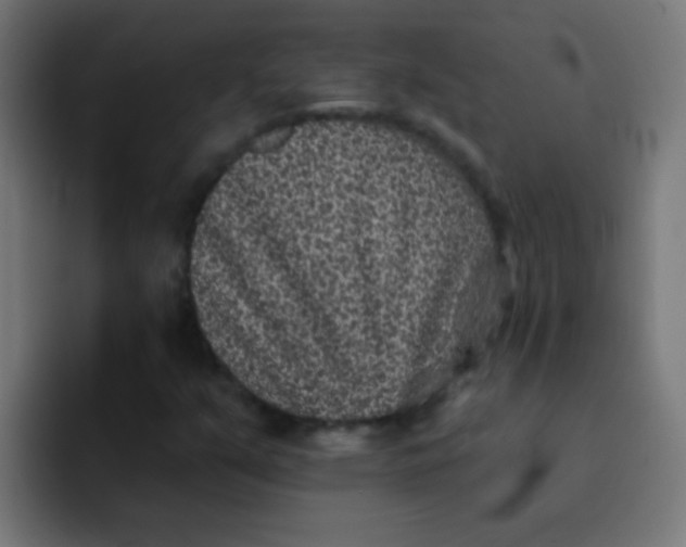 X0000092081351200710031129