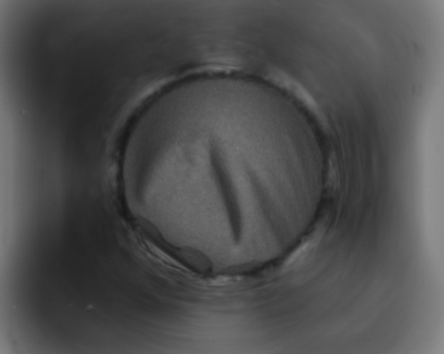 X0000092081352200710031129