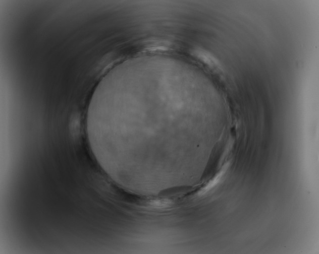 X0000092081353200710031129