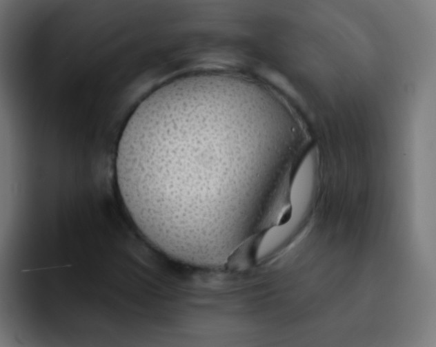 X0000092081355200710031129