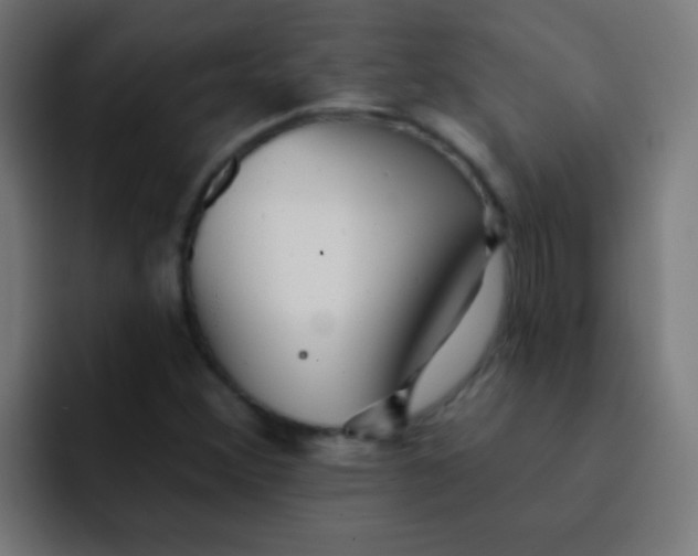 X0000092081356200710031129