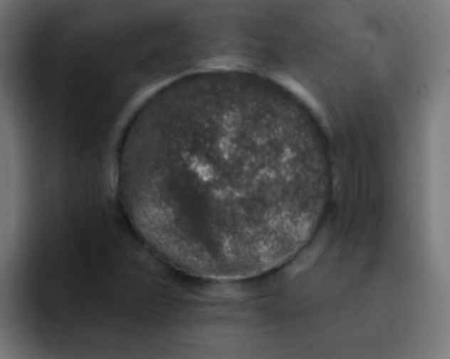 X0000092081358200710031129