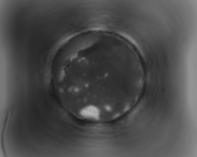 X0000092081359200710031129