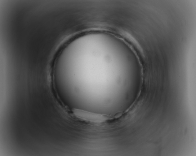 X0000092081360200710031129