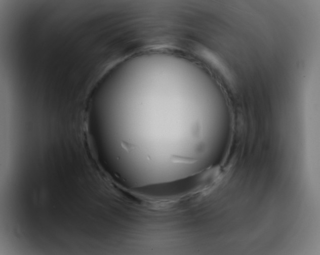 X0000092081361200710031129