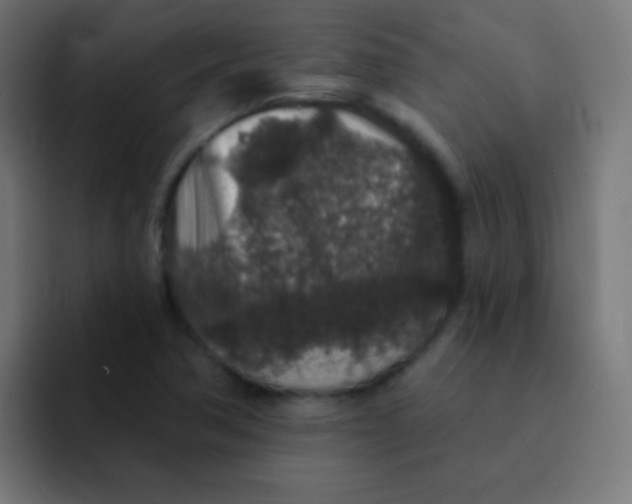 X0000092081362200710031129