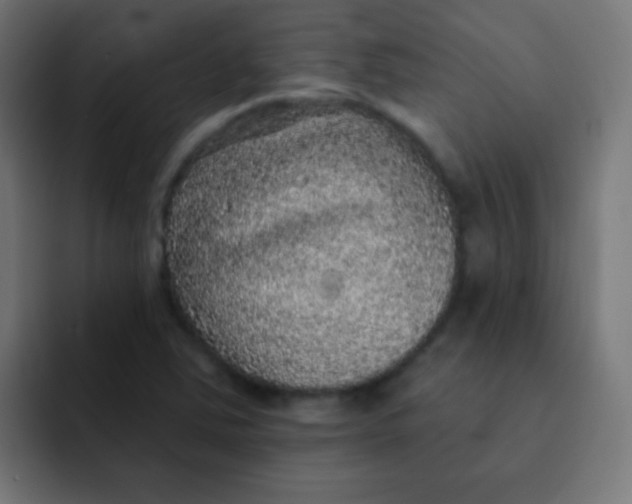 X0000092081363200710031129