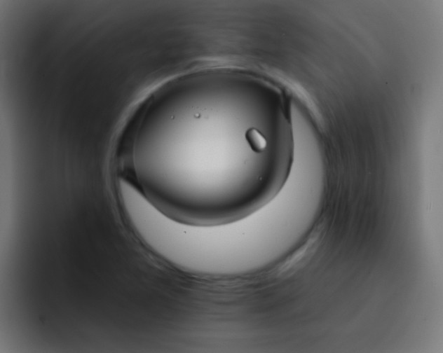 X0000092081365200710031129