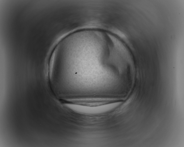 X0000092081366200710031129