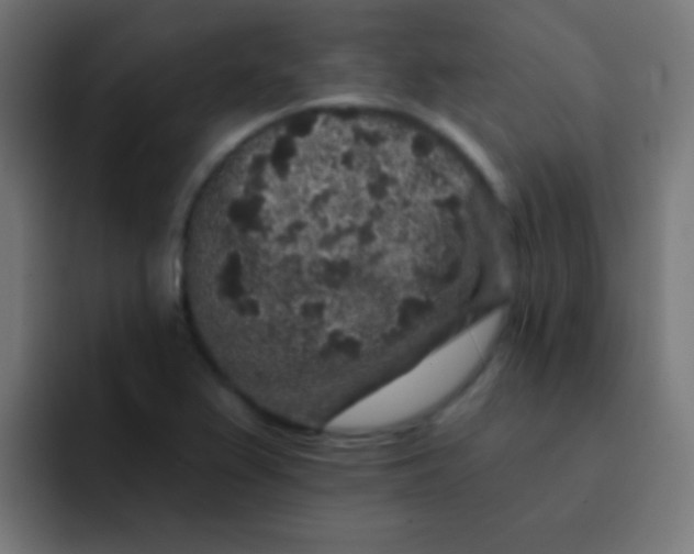 X0000092081367200710031129