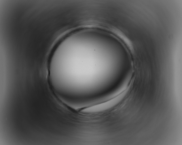 X0000092081368200710031129