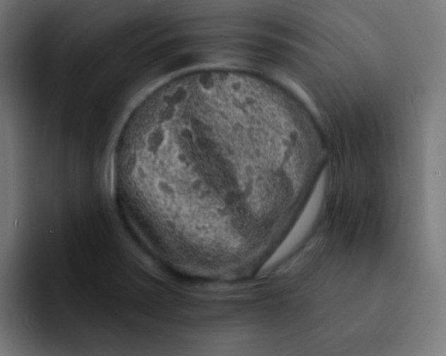 X0000092081371200710031129