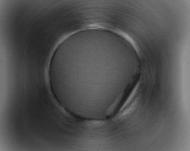 X0000092081373200710031129