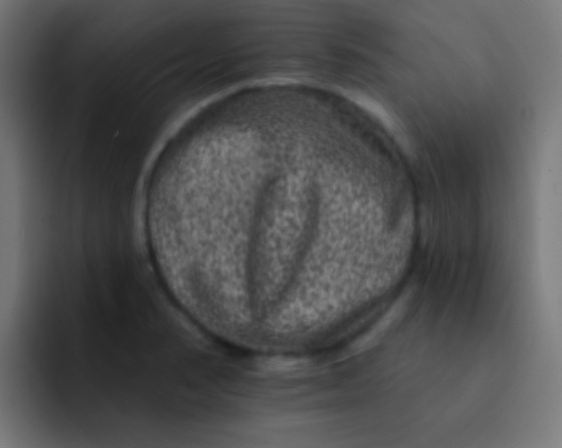 X0000092081374200710031129