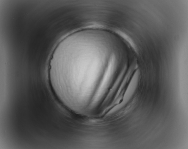 X0000092081375200710031129