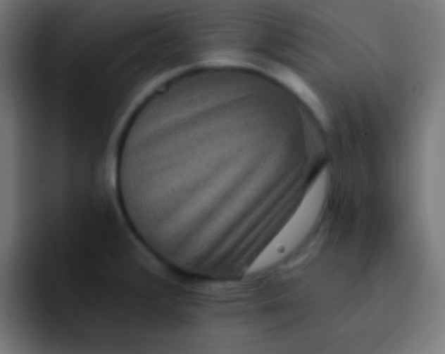 X0000092081376200710031129