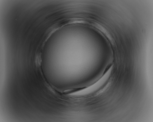 X0000092081377200710031129