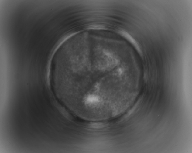 X0000092081378200710031129