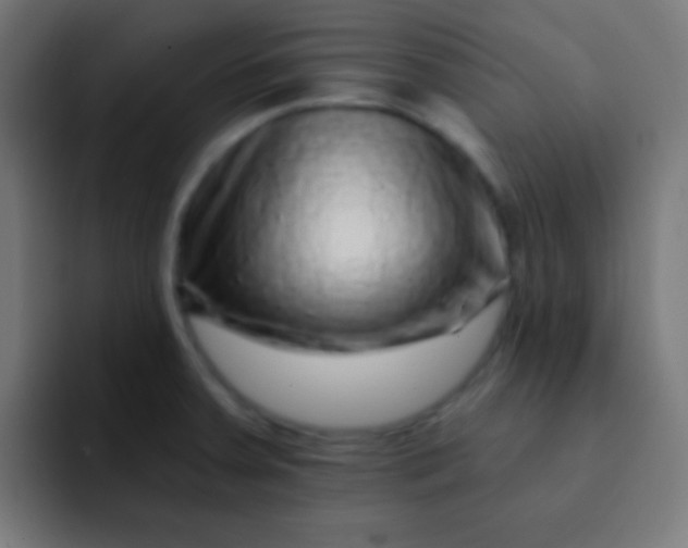 X0000092081379200710031129