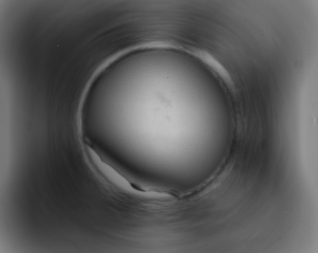 X0000092081380200710031129