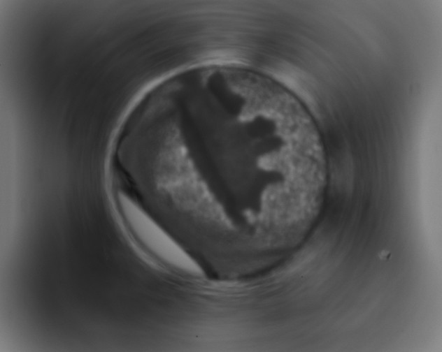 X0000092081383200710031129