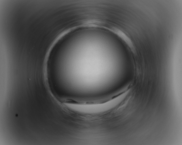 X0000092081384200710031128