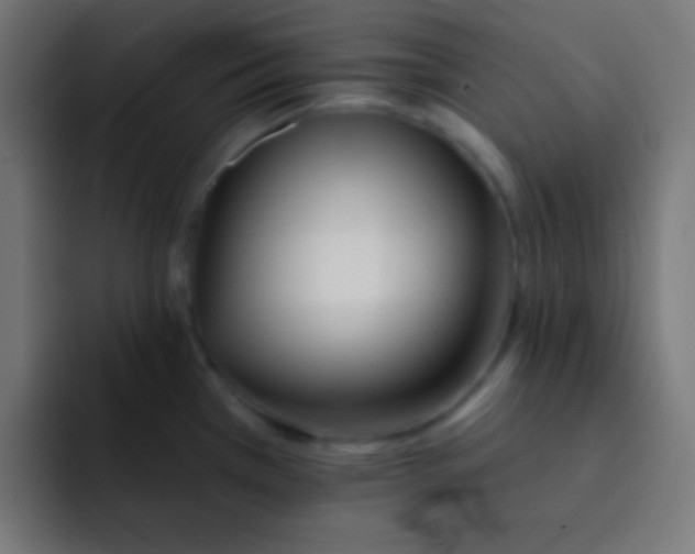 X0000092081385200710031128