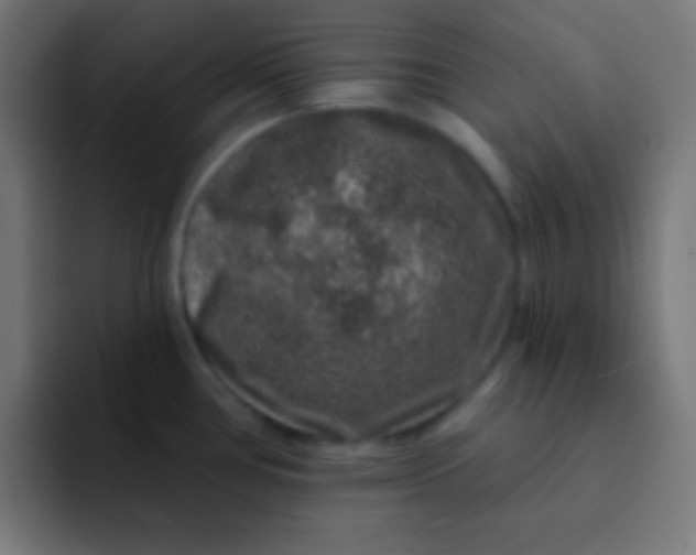 X0000092081386200710031128