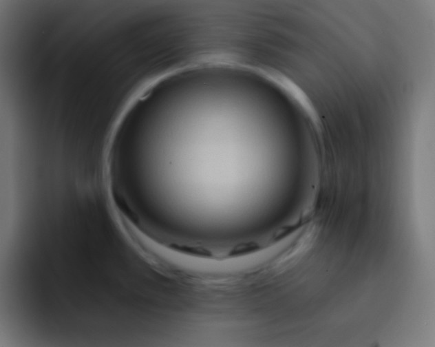 X0000092081389200710031128