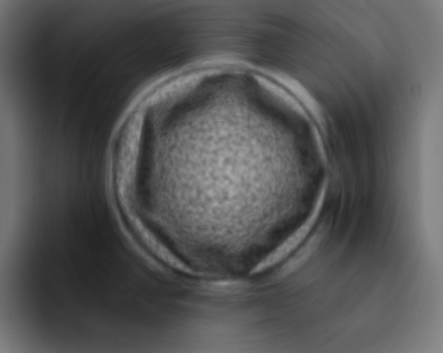 X0000092081390200710031128