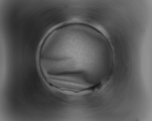 X0000092081392200710031128