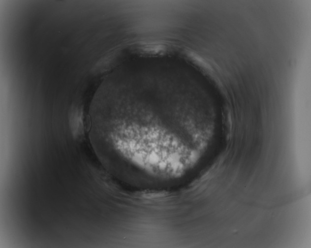 X0000092081394200710031128