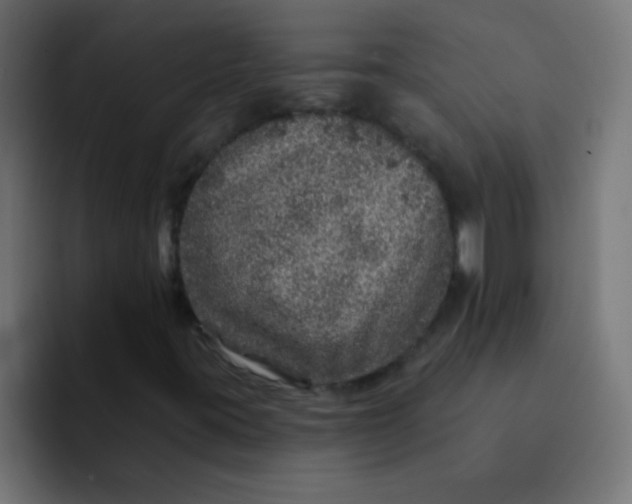 X0000092081395200710031128