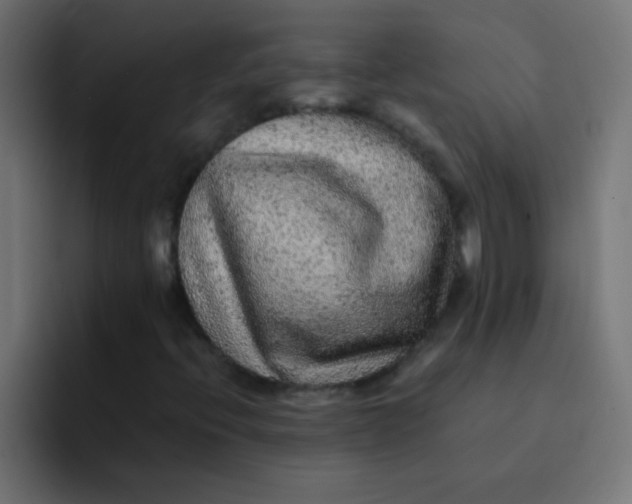 X0000092081396200710031128