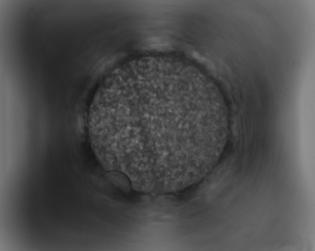 X0000092081397200710031128