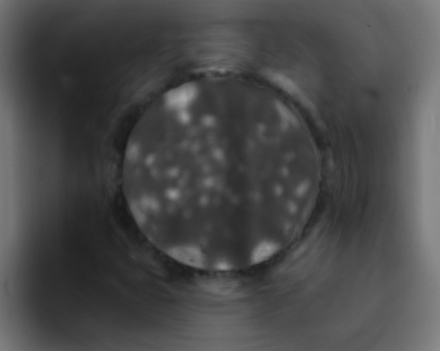 X0000092081399200710031128