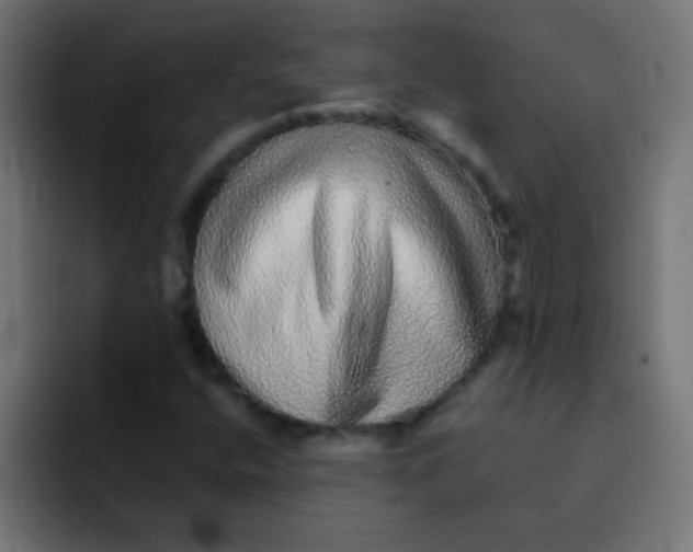 X0000092081400200710031128