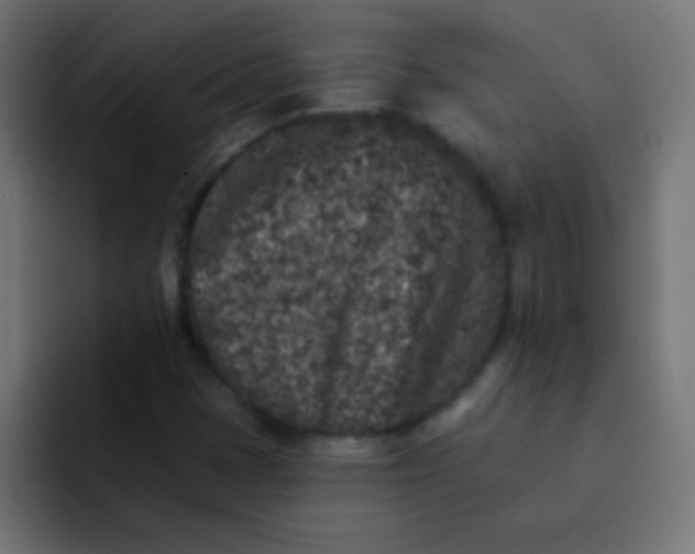 X0000092081401200710031128