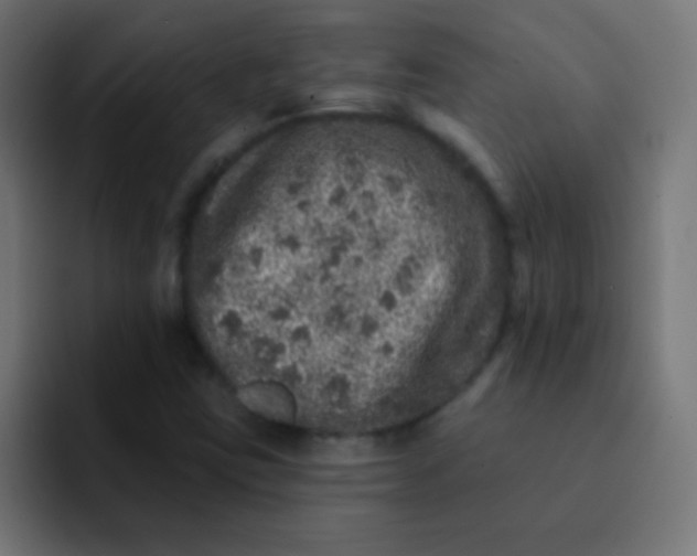 X0000092081403200710031128