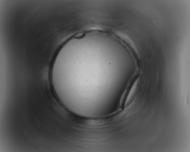 X0000092081404200710031128