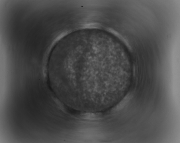 X0000092081405200710031128