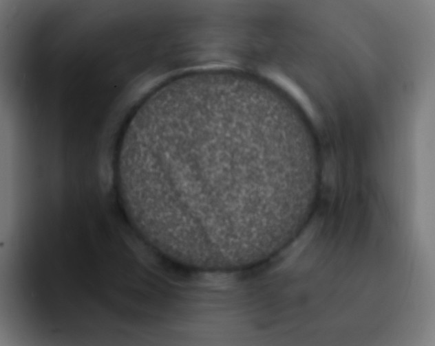 X0000092081407200710031128