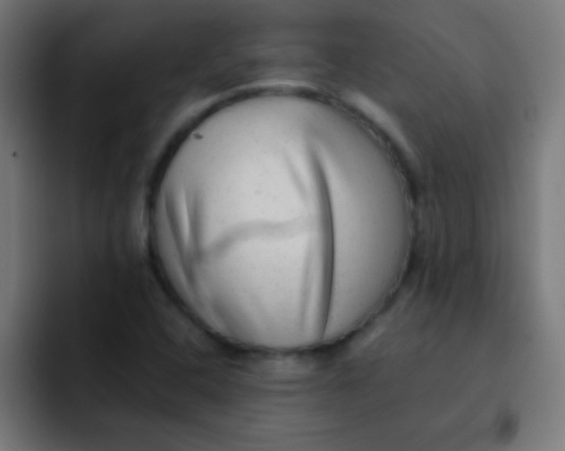 X0000092081408200710031128