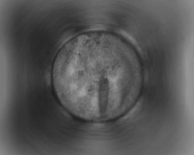 X0000092081409200710031128