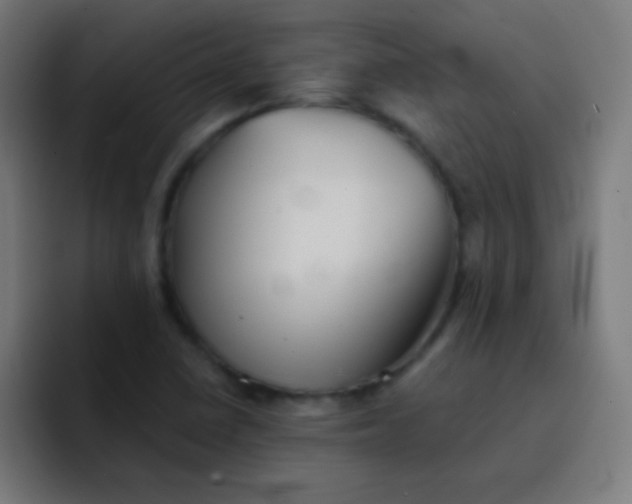 X0000092081410200710031128